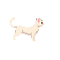 Pepper pixel cat sprite